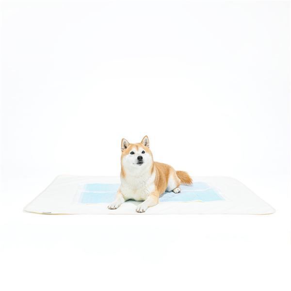 HappyDays 洗える消臭防水シート L （ペット用品） - メルカリ