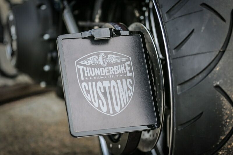 ナンバープレートライト ポリッシュ