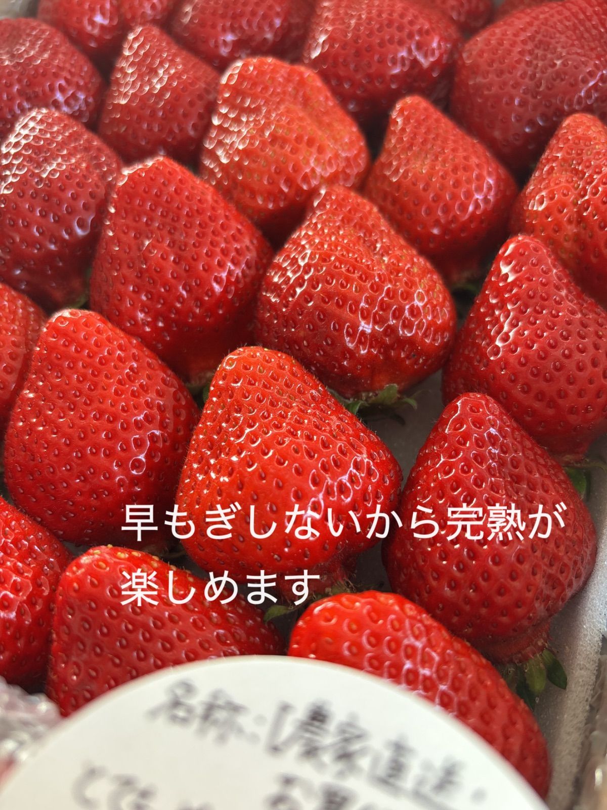 北海道·東北地方送料込み【農家直送・お買得便】とてもやわらか甘熟ちゃん加工用特価 北海道·東北地方送料込み【農家直送・お買得便】とてもやわらか