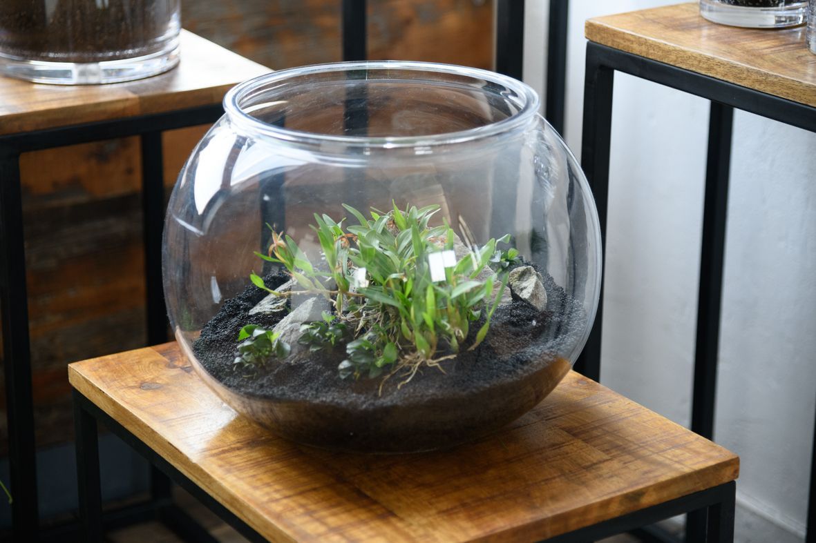 割れないガラス!?】ポリカーボネート製品：2300076 【公式通販】