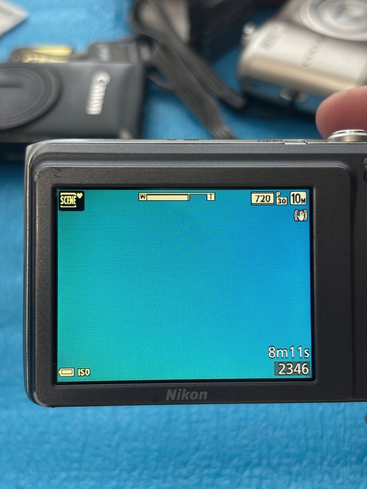Nikon A300