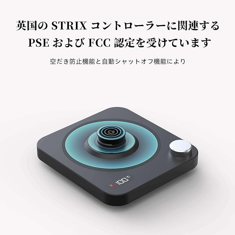 HiYiHi 電気ケトル 温度調節 コーヒーケトル 600ML 温調ケトル 電気細口 ドリップケトル 1000W 1℃/F単位温度設定/電気 PSE認証済 日本語取扱説明書付 (電気ケトル 木製のハンドル)