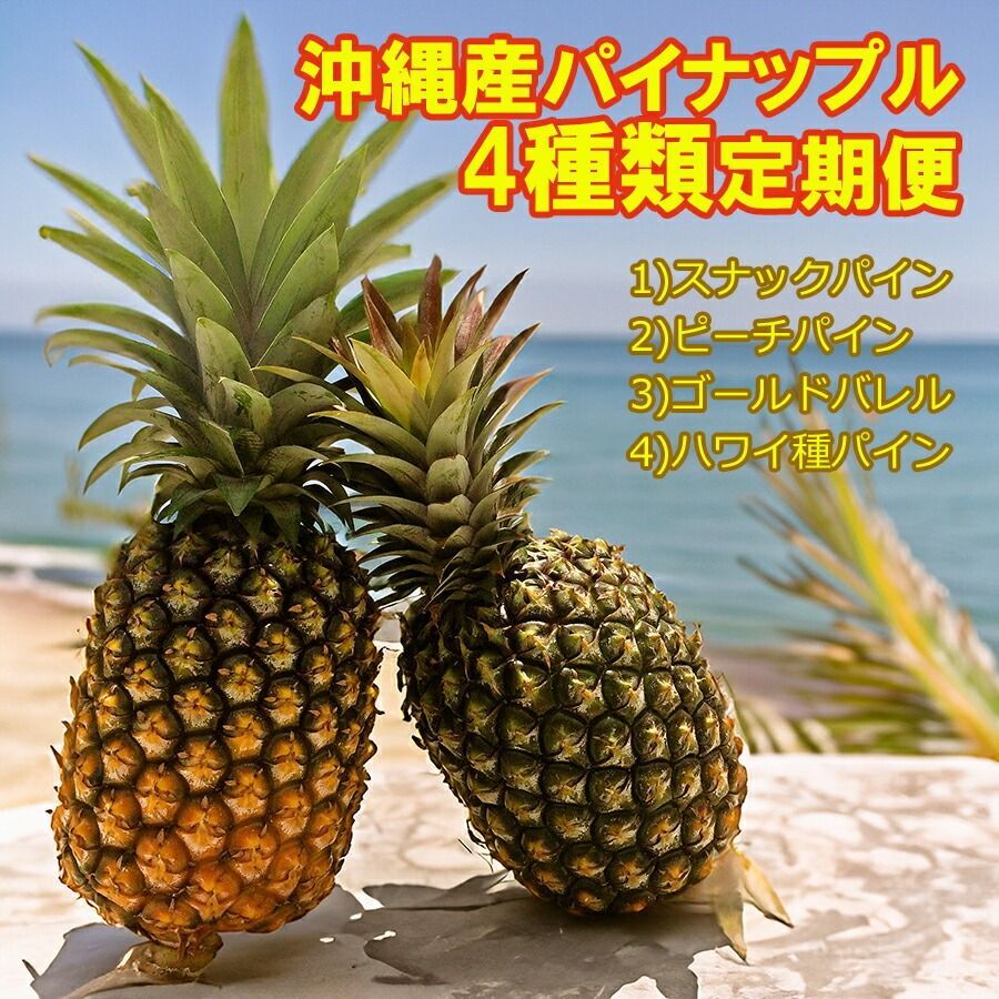 予約25年4月以降収穫 パイナップル定期便 全4回発送 沖縄産スナックパイン約1.5kg 2－4玉 ピーチパイン約1.5kg 2－4玉 ゴールドバレル1kg以上 1玉 ハワイパイン約2kg 2－3玉 沖縄産パイナップル 自社管理農園から産地直送
