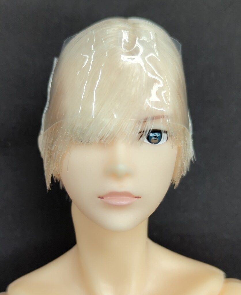 ペットワークス 六分の一男子図鑑 エイト パンクスタイル WWW_STEELWINDOWSANDDOORS_COM