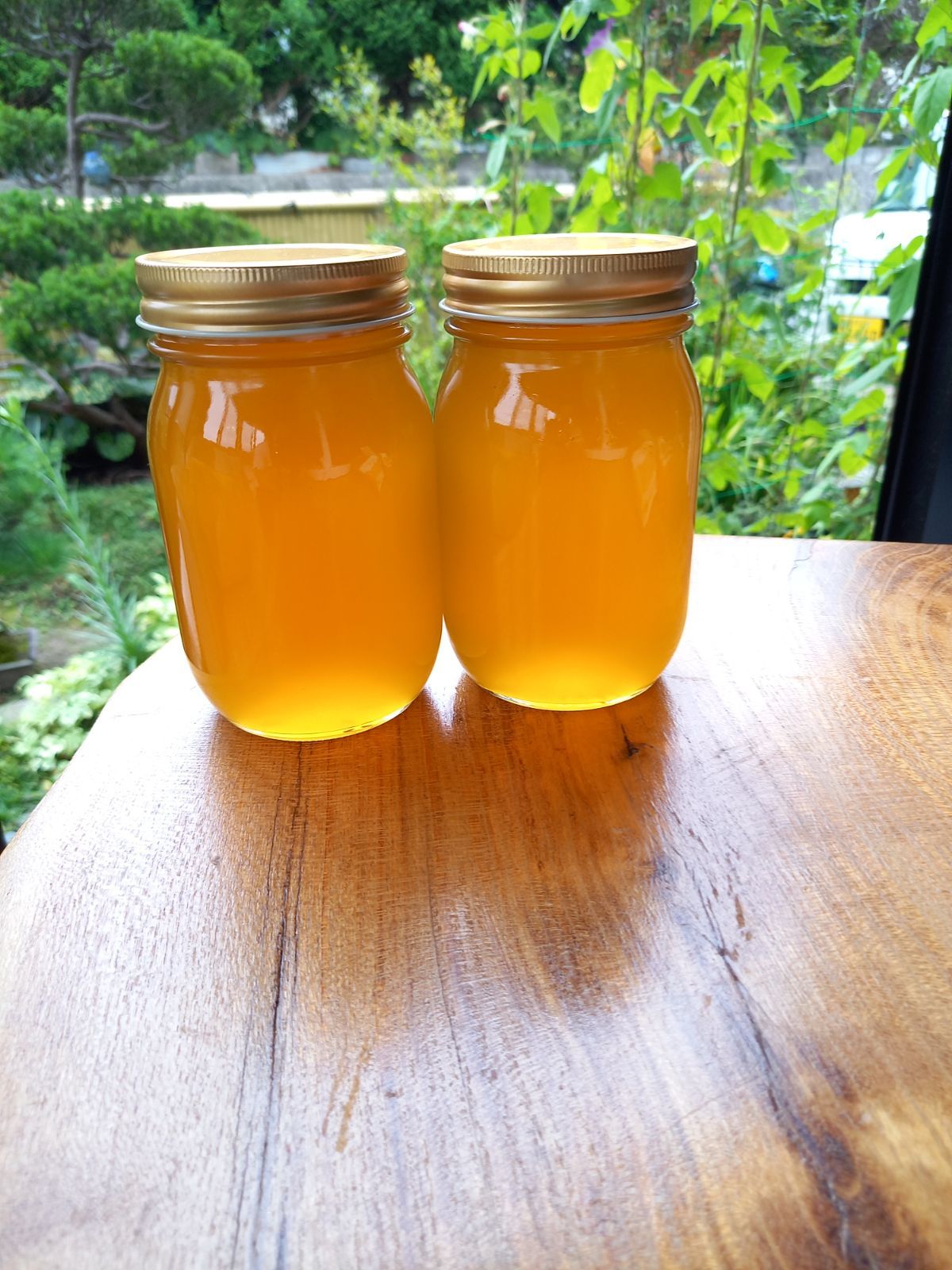 日本蜜蜂ハチミツ(食べ比べ)600g×2