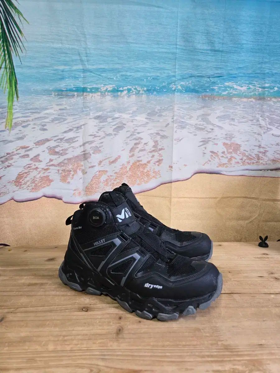 登山靴 265