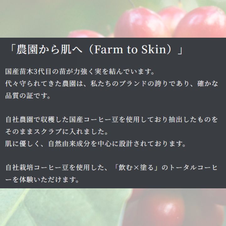  Cスクラブ 洗顔スクラブ コーヒー畑から届いた 磨くスキンケア 1089 COFFEE SCRUB セット 洗顔料 スキンケア 基礎化粧品