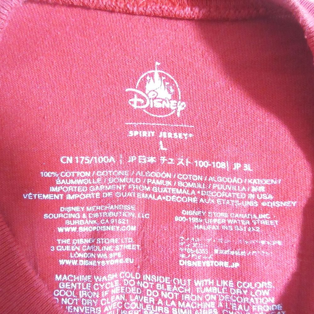 良品 SPIRIT JERSEY スピリットジャージー ディズニー ミッキー アメリカンオリジナル タイダイ Tシャツ カットソー L マルチカラー メンズ レディース 古着 中 良品 SPIRIT JERSEY スピリットジャージー ディズニー ミッキー