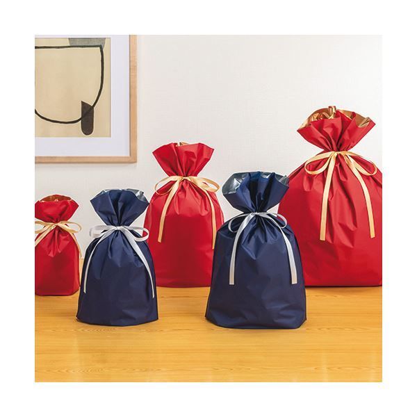 まとめ 店研創意 ストア エキスプレス梨地リボン付ギフトバッグ ネイビー 24cm 1パック 20枚 ×5セット ATMAENTERPRISE_COM