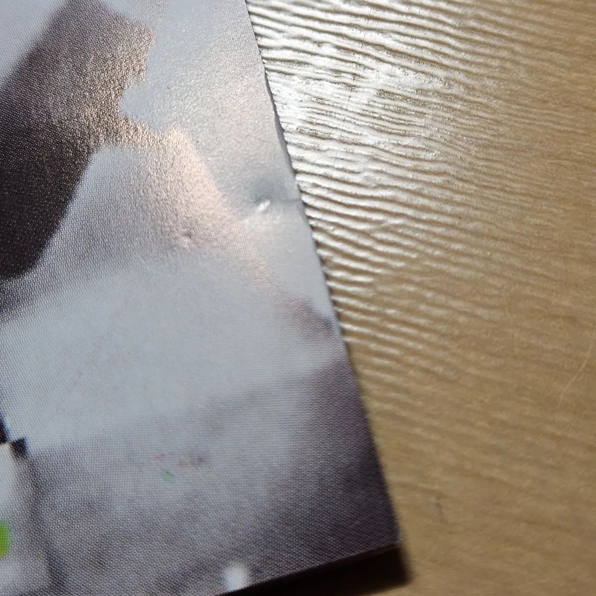 Velocidad Absurda / Fisico Tortura Emocional スペイン産ブルデス