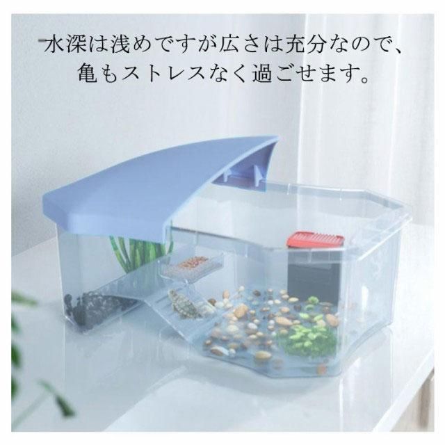 ミドリガメ
