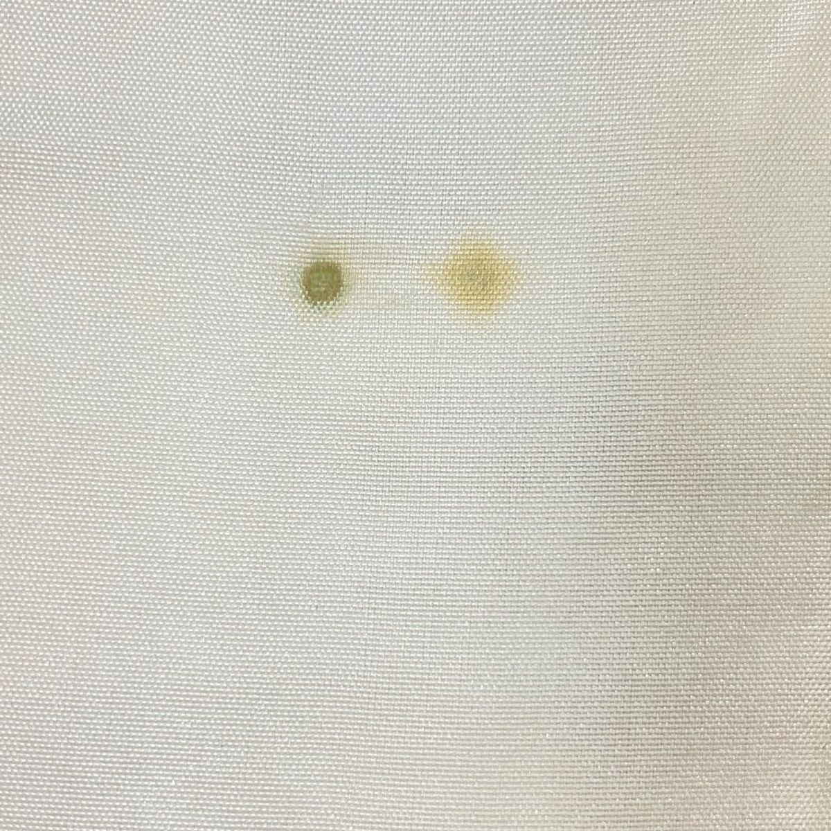 訪問着 身丈152cm