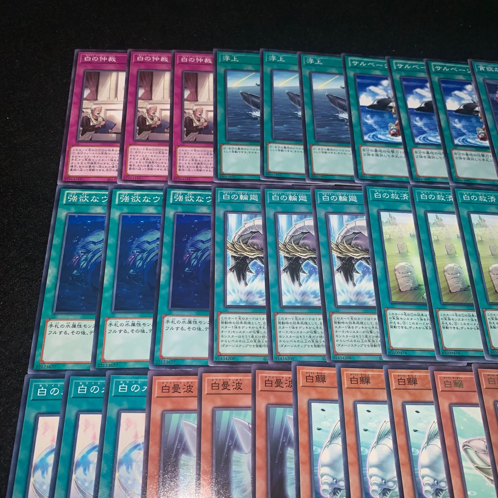 即日発送！白闘気　ホワイトオーラ　デッキ　遊戯王　まとめ売り ホワイト・オーラ】新規《白闘気砂滑》《白曼波》《白鰯》《白の
