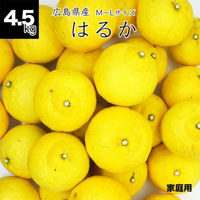 健ちゃんファームの訳ありはるか4.5kg 広島県産 樹上完熟 産地直送 S〜2L