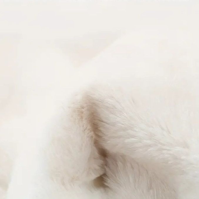 ペット うさぎ