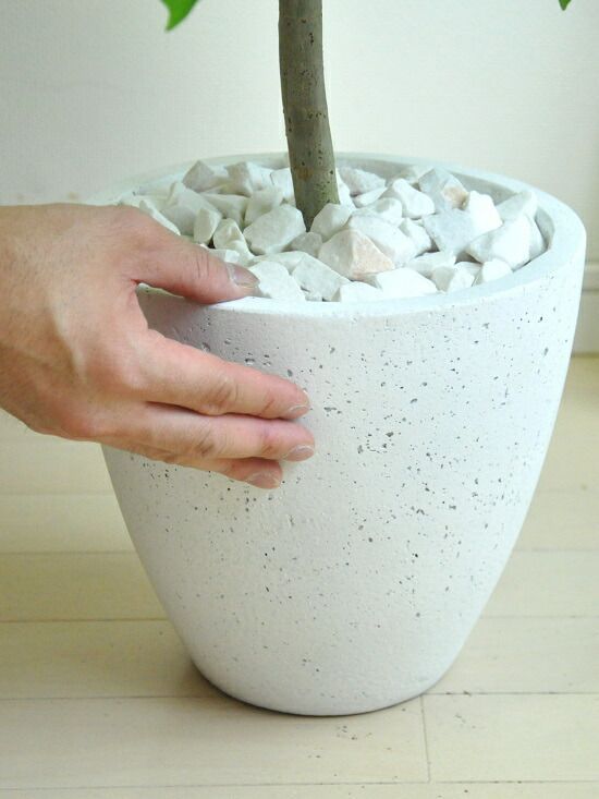 ウンベラータ（ショート） 白色 エッグ型 ラウンド陶器鉢 【白色・受皿