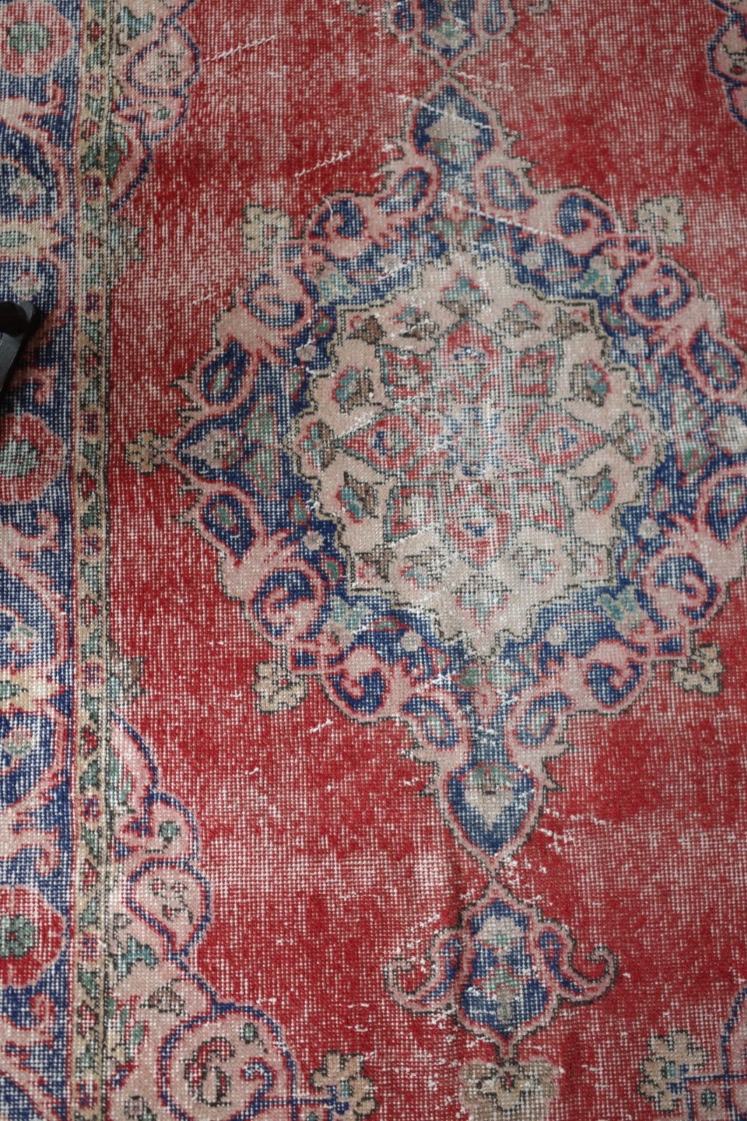 レッド メダリオン