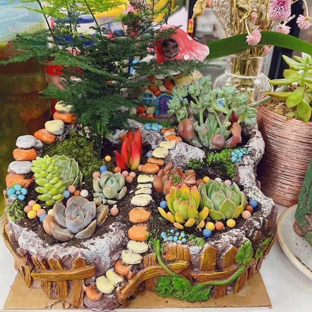 ランター 多肉植物プランター 植木鉢 多肉 観葉植物 多肉寄せ