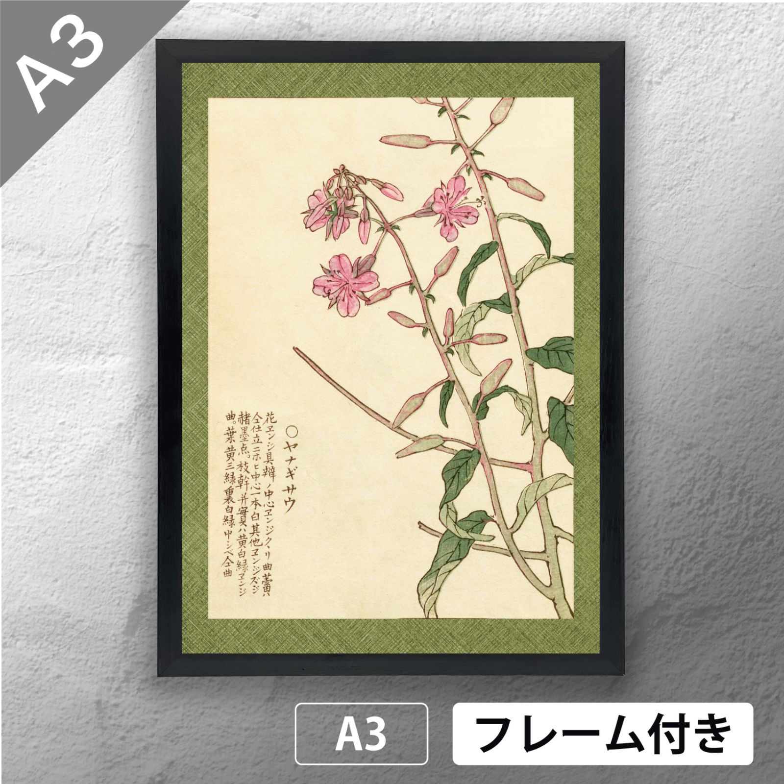 幸野楳嶺 「千種の花 ヤナギサウ」 ボタニカルアート 日本画