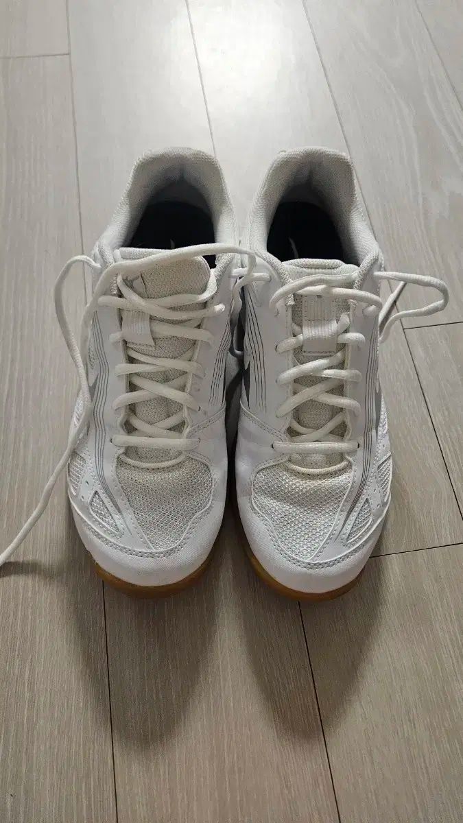 プサン ミズノ サイクロン スピード3 バドミントンシューズ 260