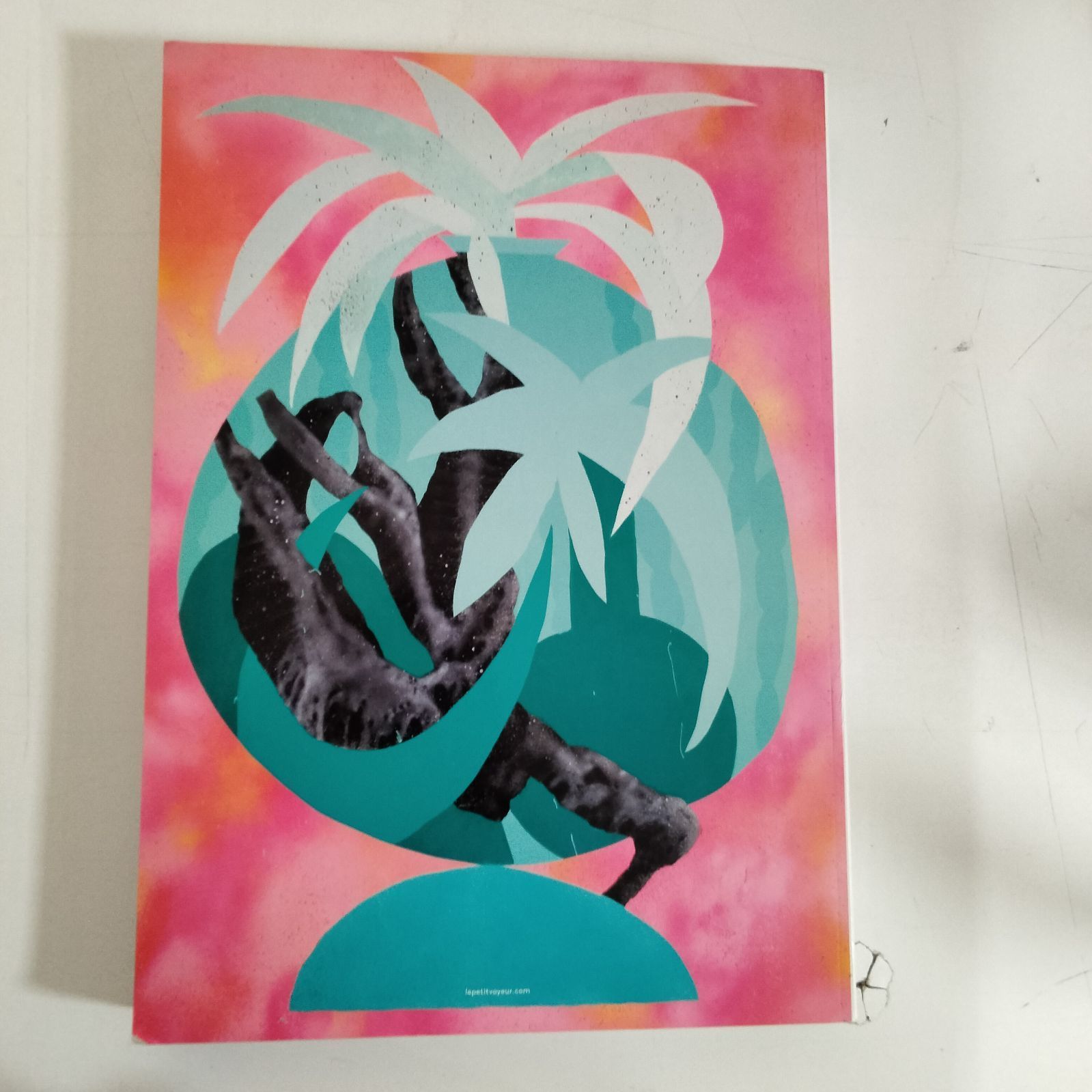 N-6336] 洋雑誌 アートブック Le Petit Voyeur 6 フラワーズ 書斎 男