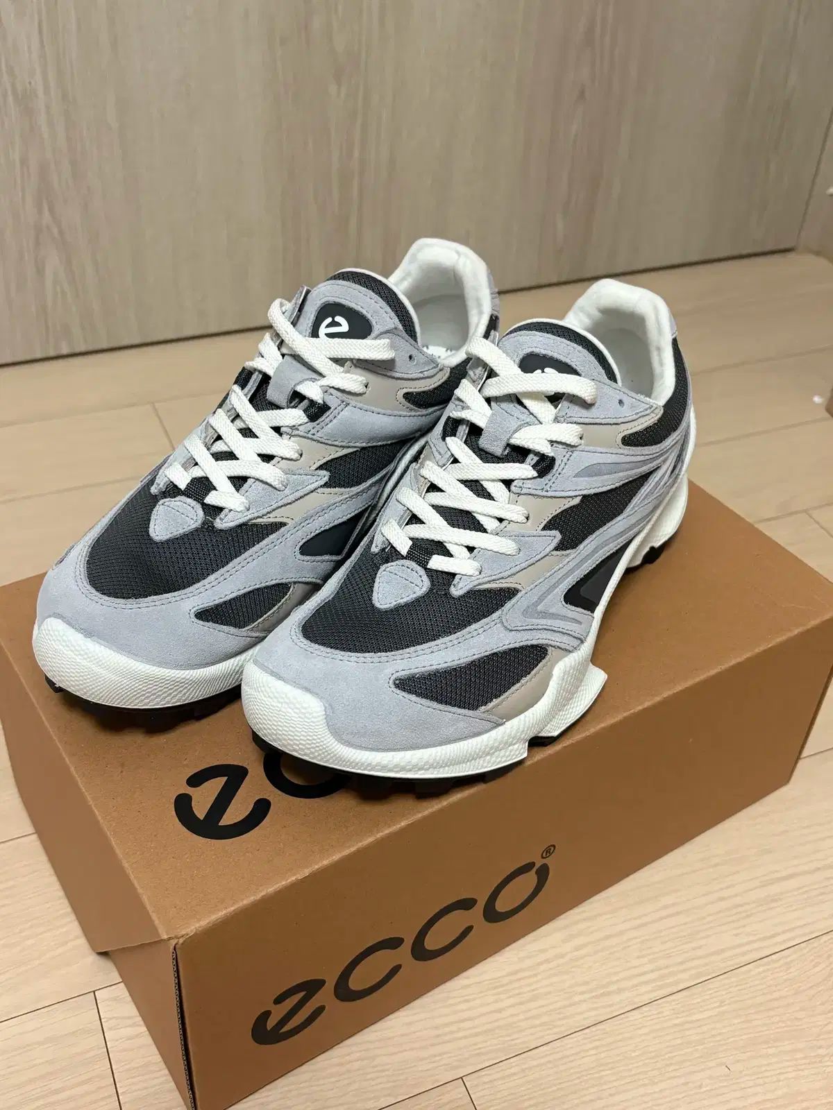 Ecco エコー ecco バイオム シー トレイル キャンプシューズ 270