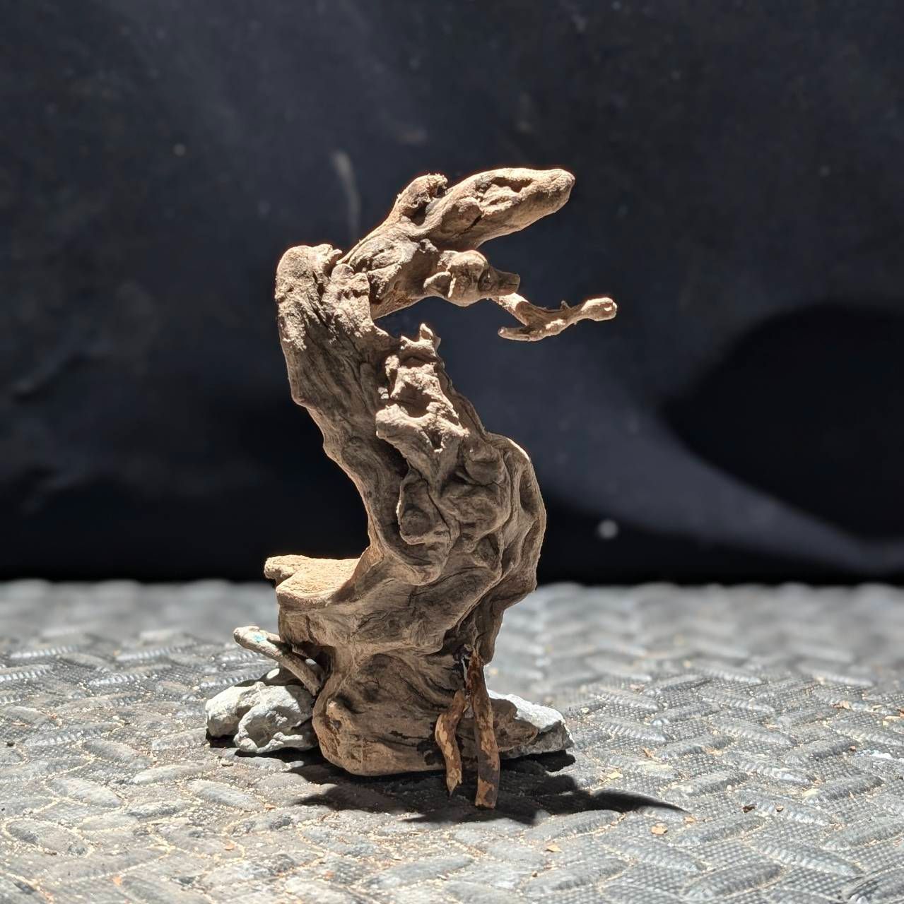 水槽用流木 約30cm自然形状 水槽用流木 約30cm自然形状