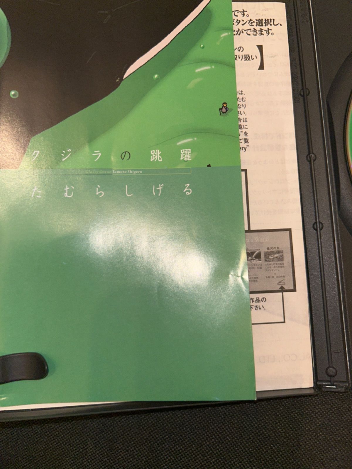 S4073) クジラの跳躍 永瀬正敏 / 永井一郎 / たむらしげる DVD