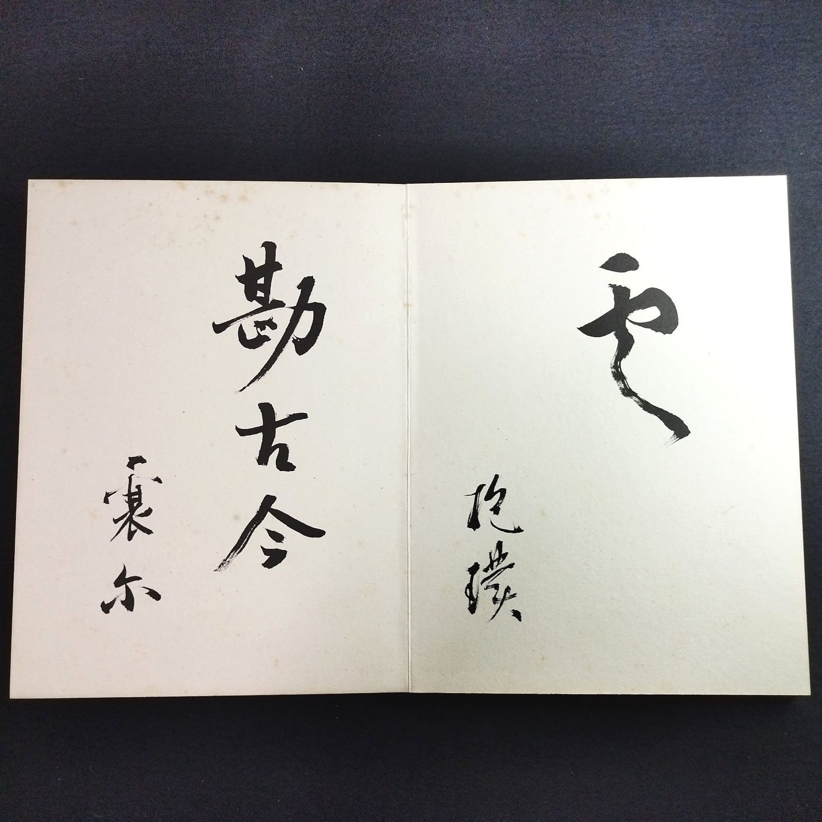 増山顕珠 肉筆 画帖◇春風帖◇帙付 折帖 両面 書 書画 書帖