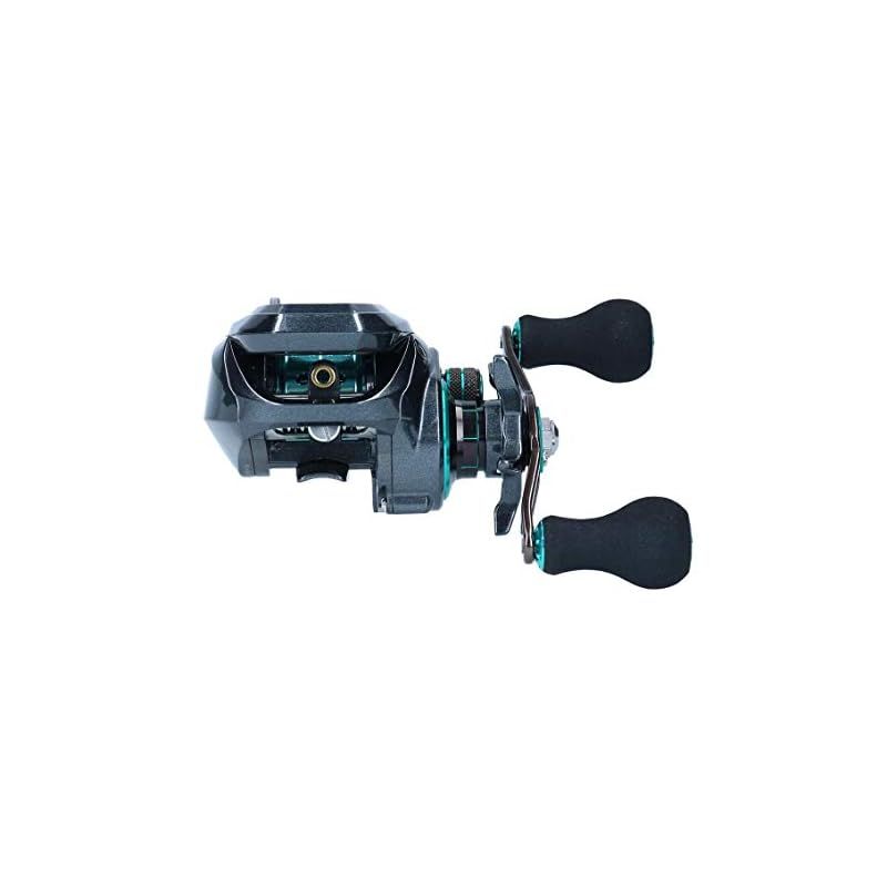ダイワ(DAIWA) LIGHT SW X IC SS L カウンター付ベイトリール ブラック