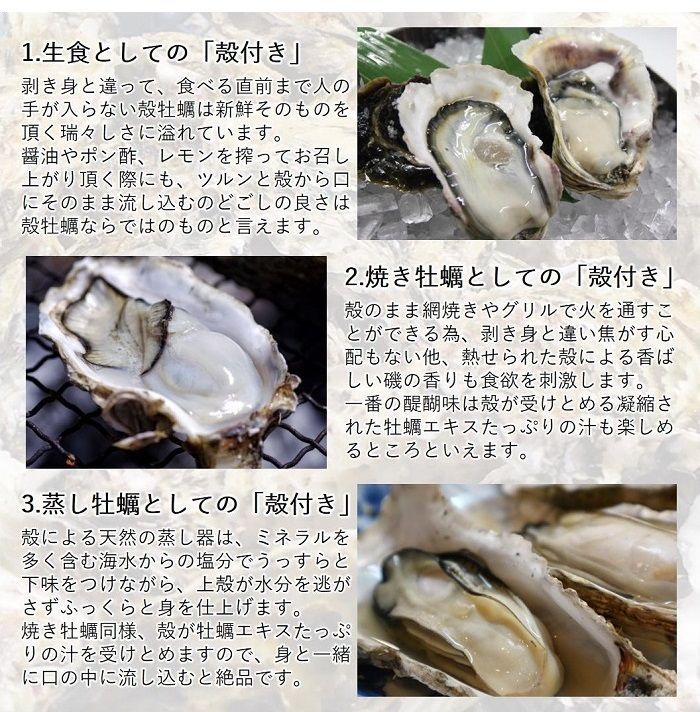 沖縄対応 生食OK 5kg 三陸産 殻付き生牡蠣 亜鉛 鉄分 ミネラル豊富-3