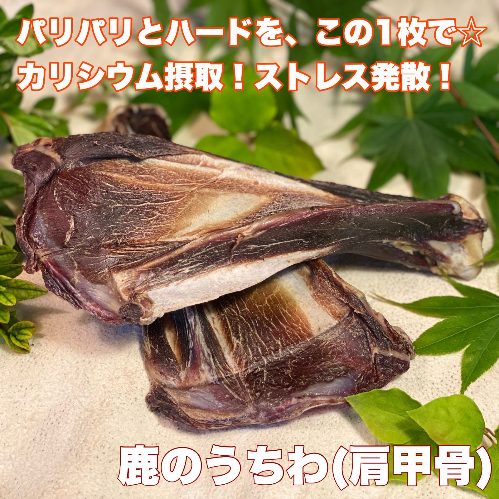 鹿うちわ 羽子板 ダンボール 60サイズ詰め 肉付き×骨×ガムで１つ３役 新鮮 富士山 鹿肉 ジャーキー 無添加 ドックフード 骨 歯の健康 ストレスケア 低カロリー 高たんぱく カルシウム 肉付き 犬おやつ 無添加 無添加おやつ デンタルケア