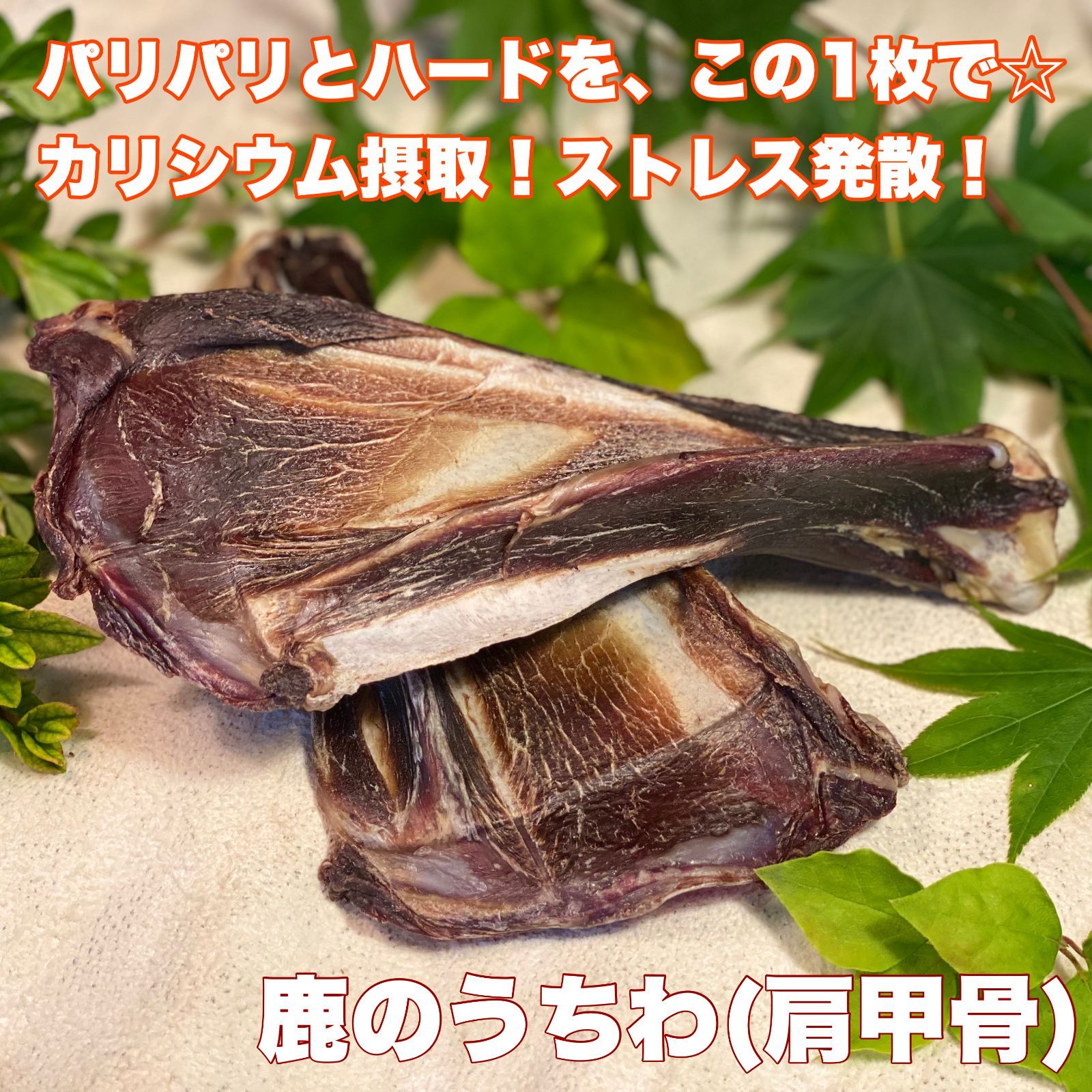 鹿うちわ (羽子板) ダンボール 60サイズ詰め ★ 肉付き×骨×ガムで１つ３役☆新鮮 富士山 鹿肉 ジャーキー 無添加 ドックフード  骨   歯の健康 ストレスケア 低カロリー 高たんぱく カルシウム 肉付き 犬おやつ 無添加 無添加おやつ デンタルケア