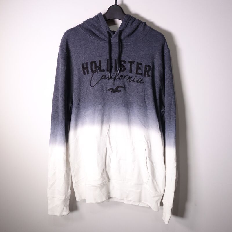 ホリスター Hollister スウェットパーカー メンズ M グラデーション