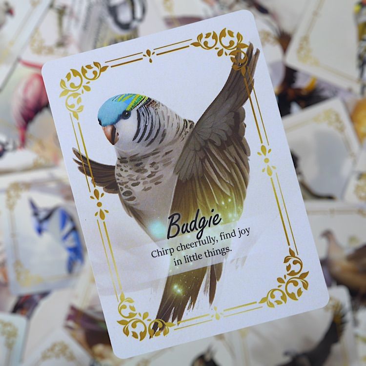 鳥のさえずりのオラクルカード ❤︎ デイリーガイダンス ❤︎ セルフケア 鳥のさえずりのオラクルカード ❤︎ 鳥 ❤︎ デイリーガイダンス