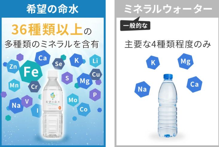 楽天売上1位