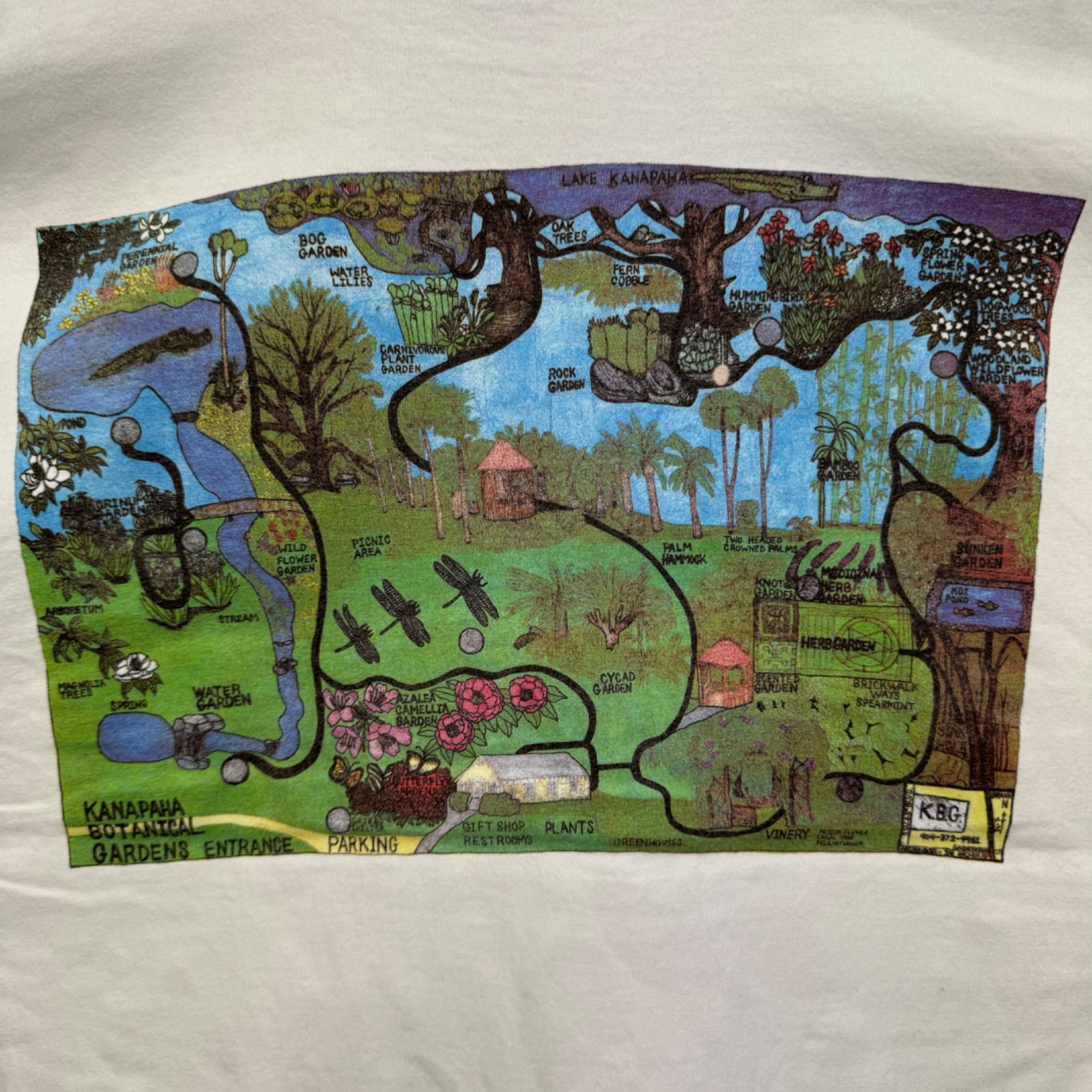 90s vintage USA製 1995 Clelebrating the Ninth Year OPEN HOUSE Kanapaha Botanical Gardens Tシャツ アートT デザインT シングルステッチ ヴィンテージ 古着