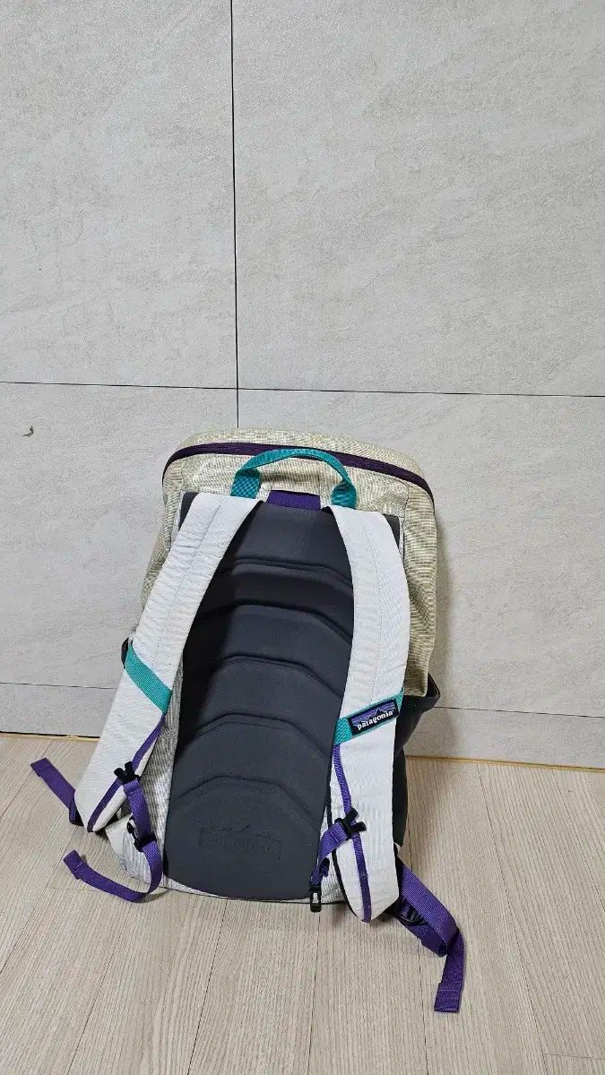 patagonia パタゴニア バックパック