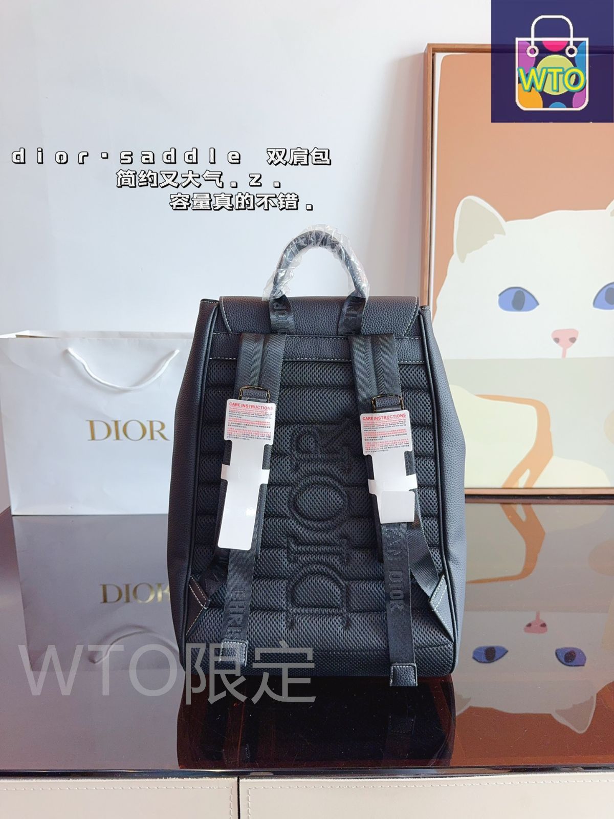 ディオール　ショルダーバッグ Diorディオール/ダブル/ショルダーバッグ、旅行バッグ、カメラ
