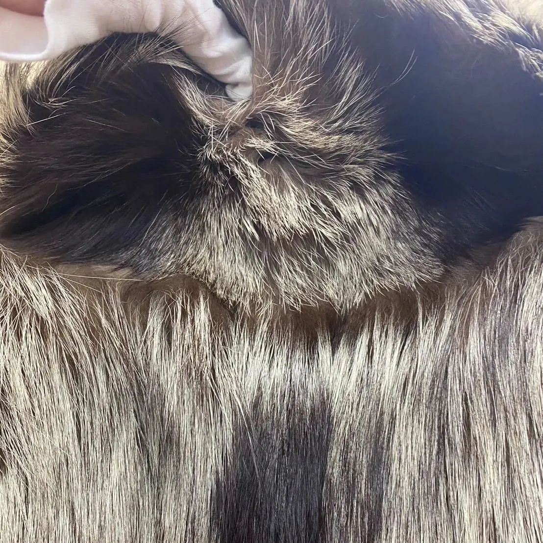 ✨ SAGA FOX ✨ サガフォックス ファーコート リアルファー コート