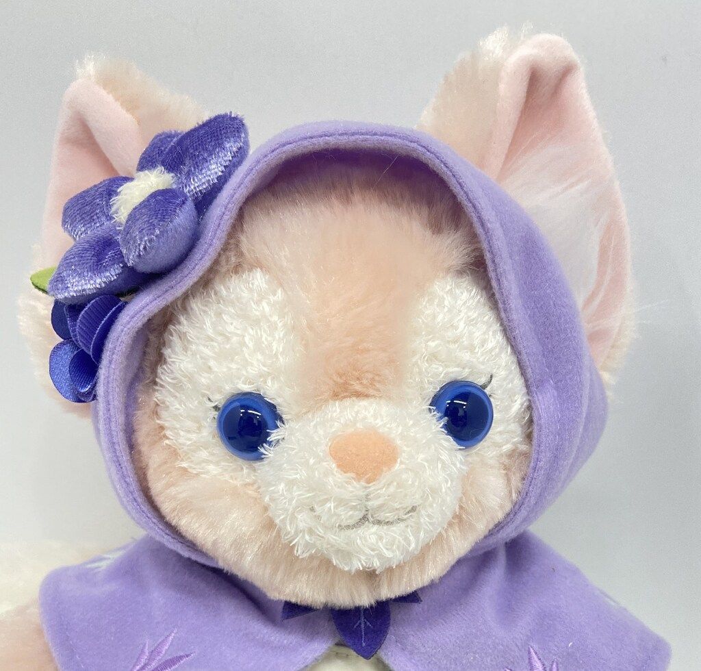 香港ディズニー ♡Forest 辞めよ Maze 紫頭巾♡リーナベル♡スケルトン！ 