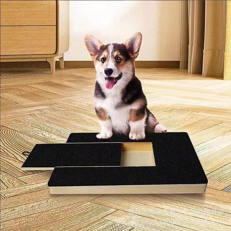 子犬ファイルスクラ