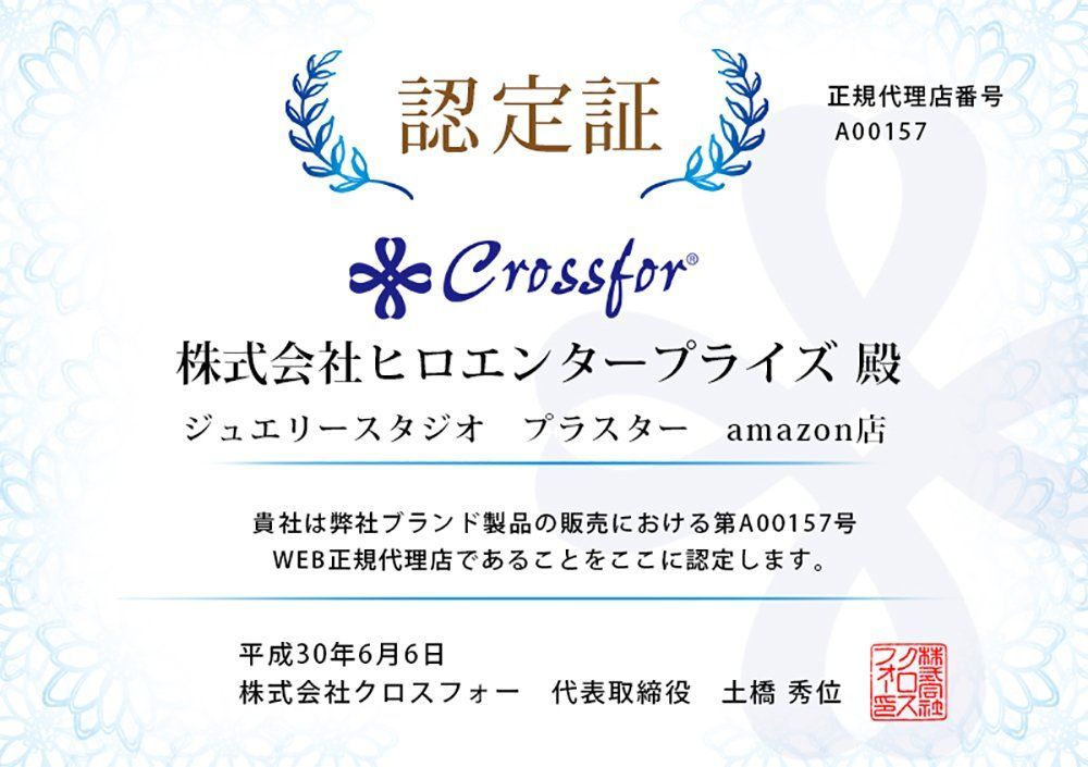 人気の福袋 100 本物 新品 未使用 在庫処分 誕生石 ネックレス 11月 Pluster K10 馬蹄 ブルートパ その他 Www Sundiscountpharmacy Com Www Sundiscountpharmacy Com