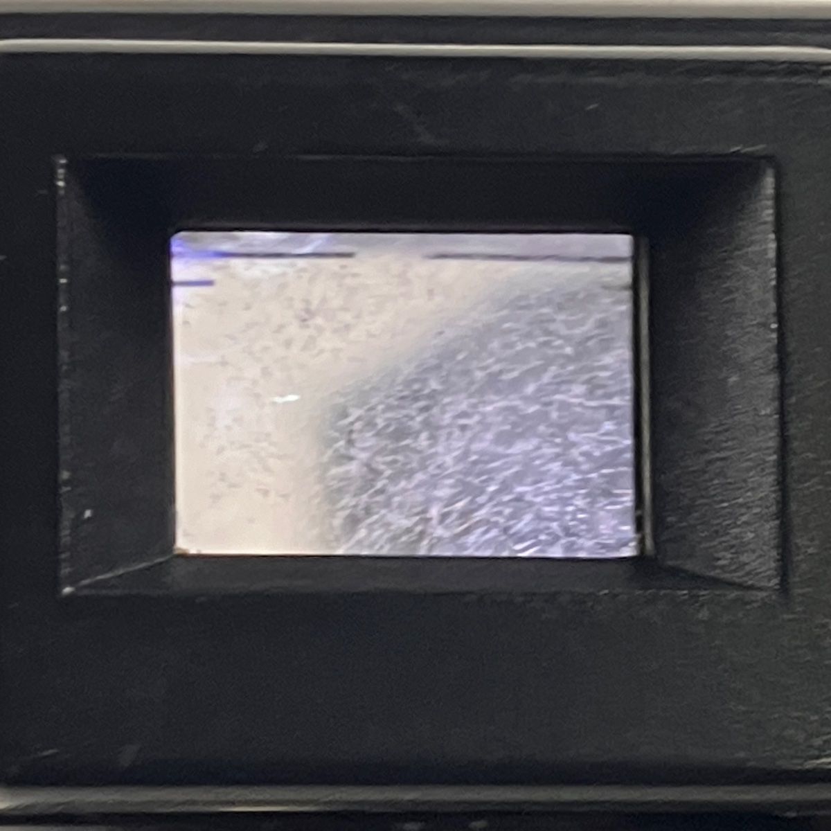 シンガポール フィルム