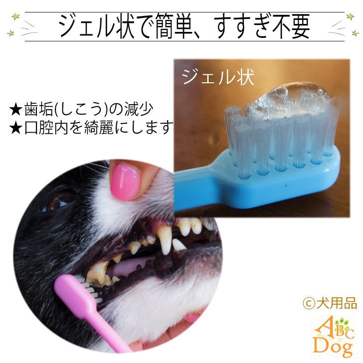 犬