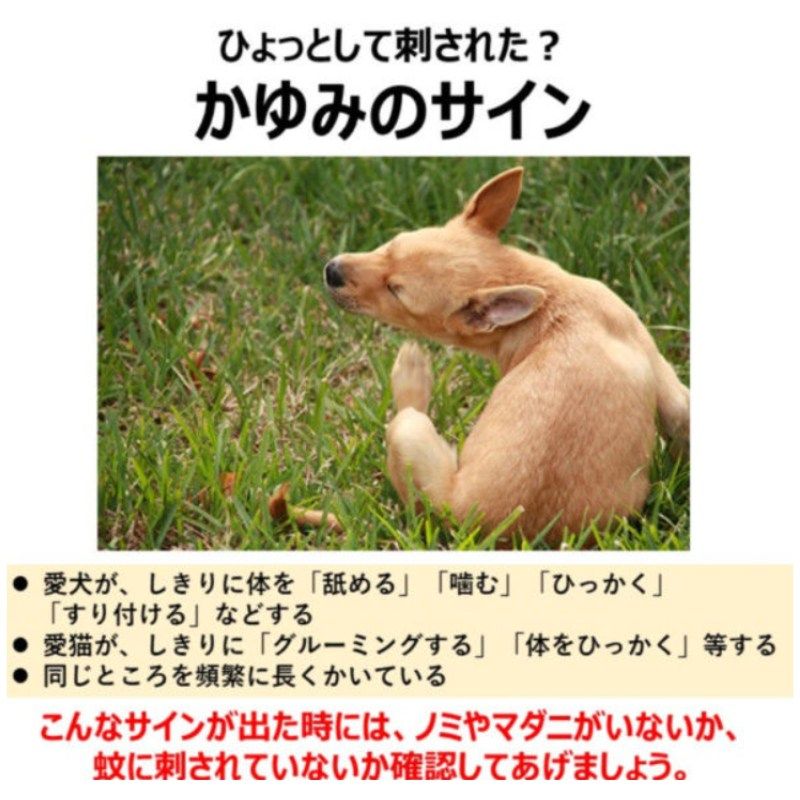 アース渦巻AC 48巻