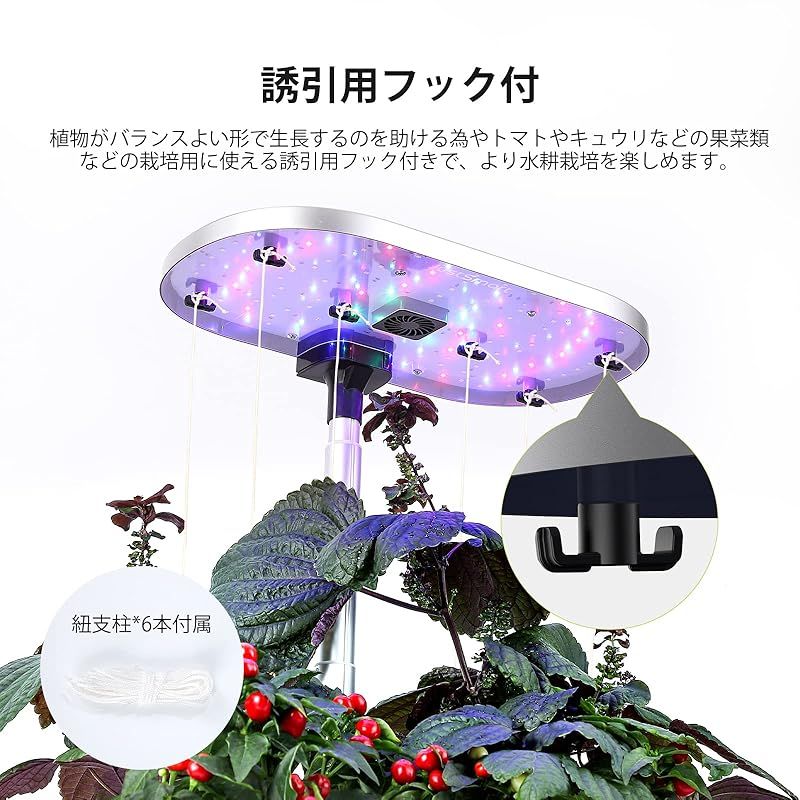 LEDライト付き