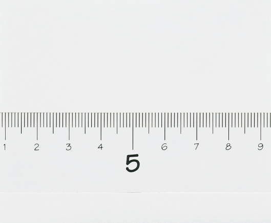 目盛り17cm