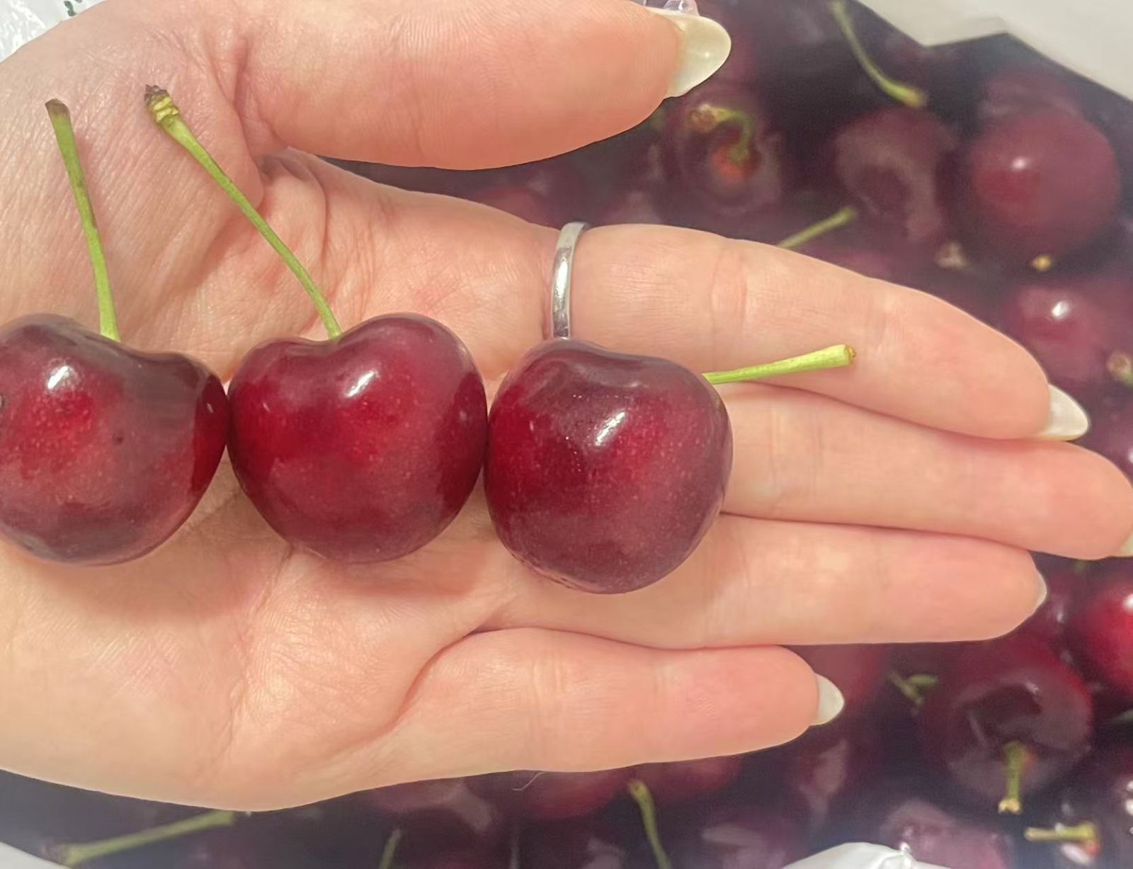 クール便発送　アメリカンチェリー　 9.5R大粒  箱資材含まずたっぷり2kg 3セット限定 たっぷり2kg クール便発送 アメリカンチェリー 9.5R
