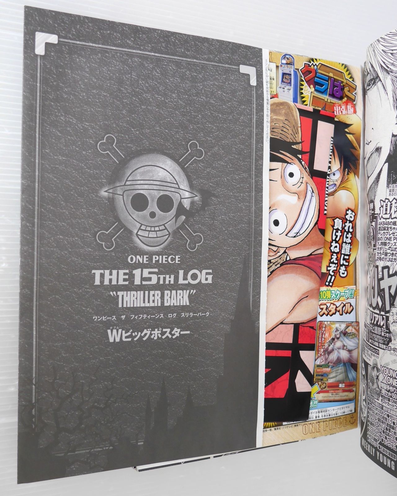 ONE PIECE 総集編 THE 15TH LOG - One Piece Compilation